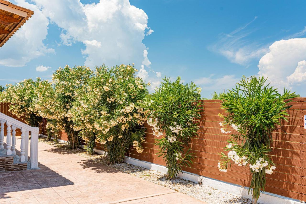 Blossom Villa Laganas Ngoại thất bức ảnh